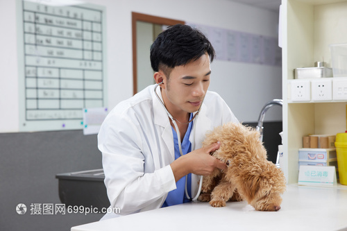 金河生物宠物疫苗战略布局进展：8个保健产品+1个狂犬疫苗已上市11个产品正在申报中！(图1)