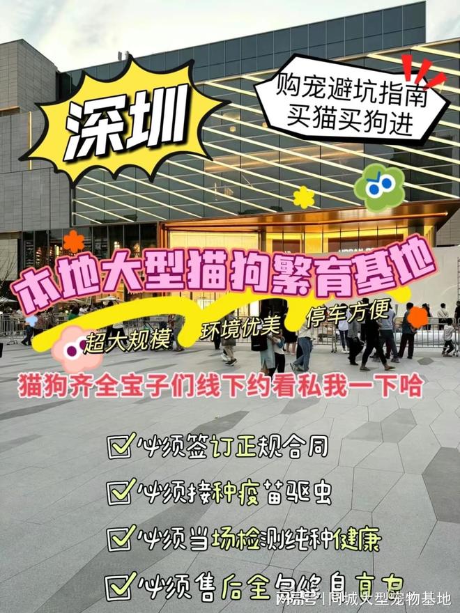 深圳哪里可以买宠物猫狗？这里有你想要的还能亲自挑选宠物哦(图1)