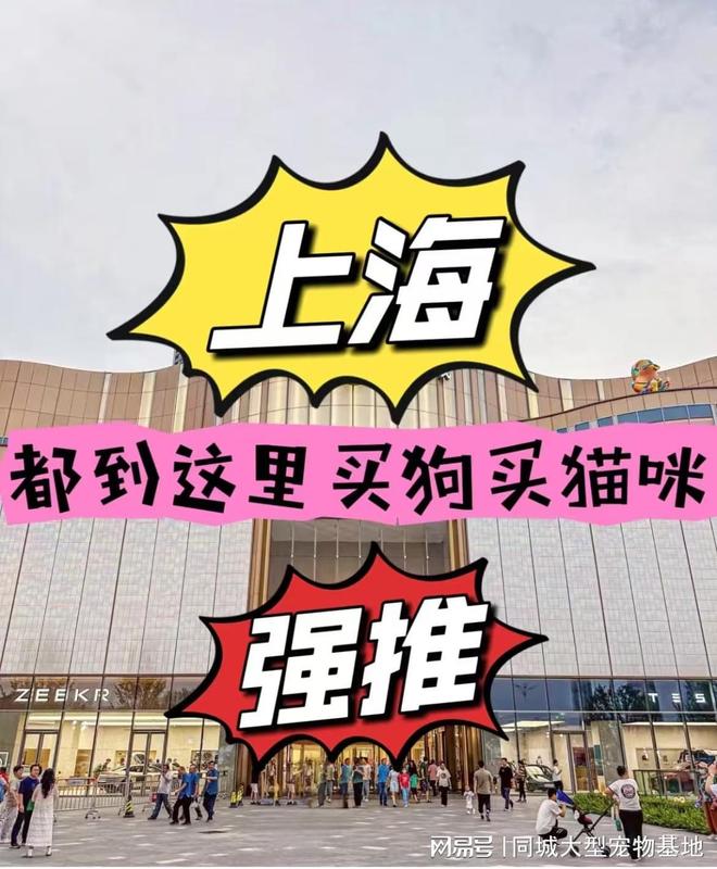 上海哪里买宠物靠谱安全？这儿有实体店可选放心大胆挑吧(图1)