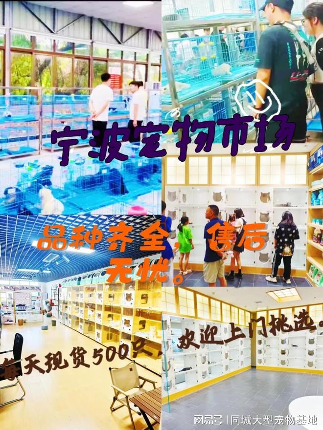 宁波最大的宠物市场在哪里？安全可靠可实体店挑选心仪的宠物！(图1)