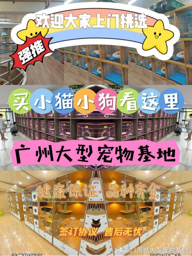 广州哪里买宠物靠谱安全？这儿有实体店可选放心大胆挑吧(图1)