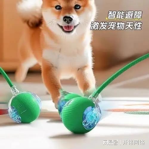 九游体育：宠物智能设备如何通过新闻宣传征服宠物主人？(图1)