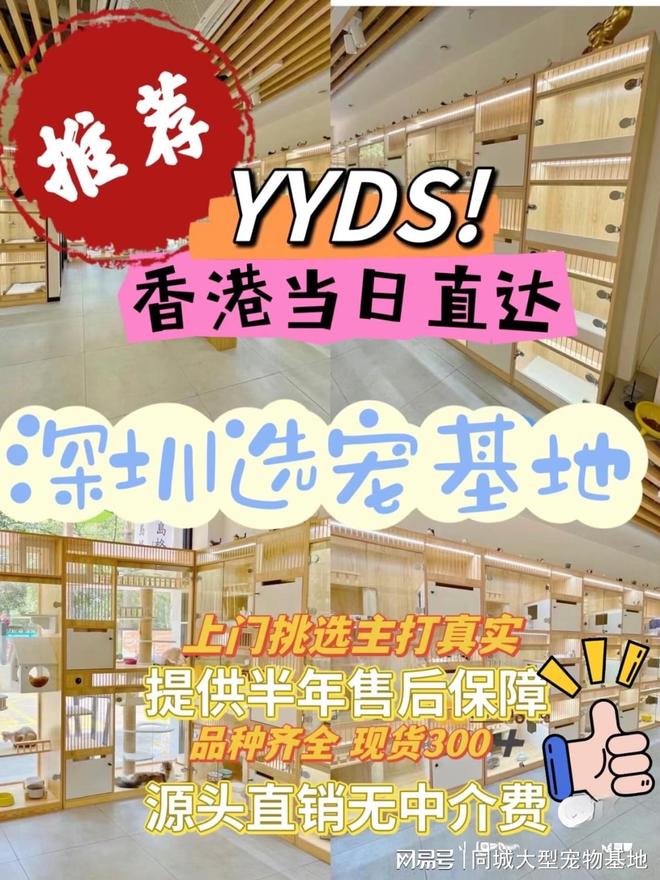 九游app：深圳哪里买宠物靠谱安全？这儿有实体店可选放心大胆挑吧(图1)