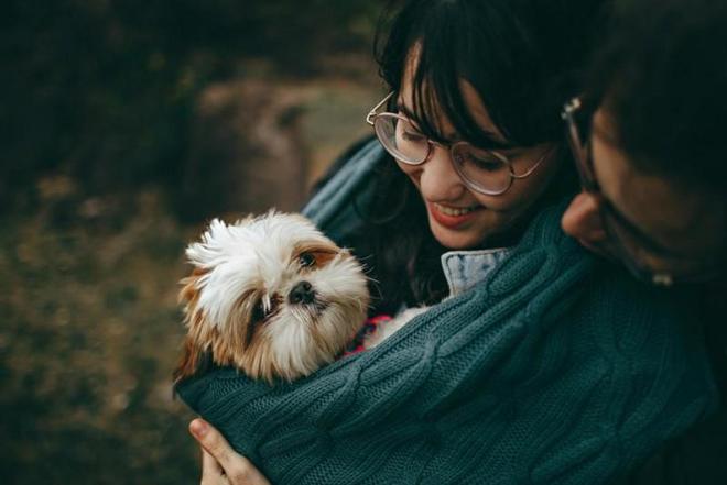 艾尔犬粮助力狗狗以食养颜解决泪痕困扰(图2)
