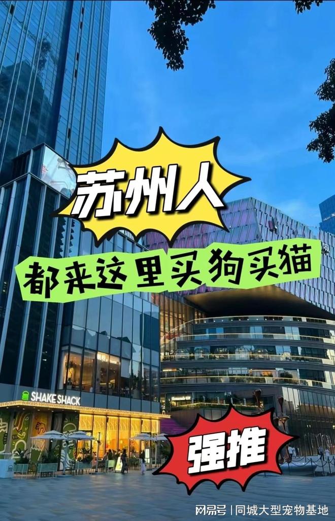 苏州哪里卖宠物猫狗的选择性多？这里安全可靠能挑选心仪的宠物(图1)
