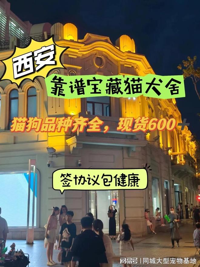 九游app：西安哪里卖宠物猫狗的选择性多？这里安全可靠能挑选心仪的宠物(图1)