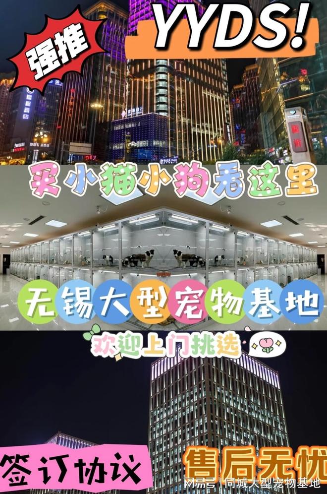 九游官网入口：无锡哪里可以买宠物猫狗？这里有你想要的还能亲自挑选宠物哦(图1)