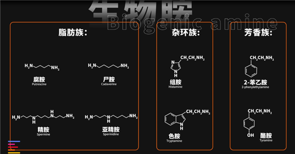 九游官网入口：从一斤2块到一斤700 12款狗粮大横评：国产针不戳(图4)