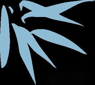 九游体育：宠物健康与室内甲醛：不为人知的家庭污染案例(图2)