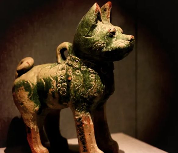 九游体育：让几亿老外跪服中国土狗火爆海外！一查竟是老祖宗严选品种？(图8)