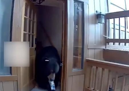 美国一头黑熊“私闯民宅”狂吃狗粮后叼着一包薯片离开(图1)