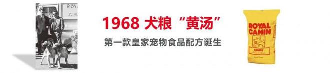 皇家宠物食品中国三十周年：营养守护犬猫健康 构建宠物生态新未来(图4)