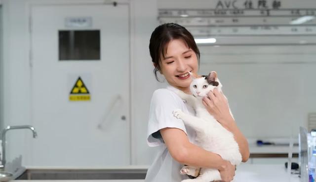 狗狗口粮里有叶酸和“轻盈”配方中国家庭对“毛孩子”的喂养开始走“精细化”(图8)