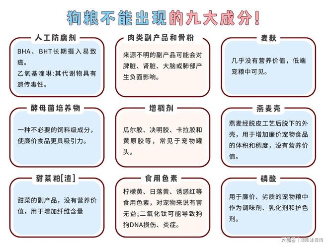 狗粮怎么选择营养比较均衡？推荐前五名：长肉养胃且价格实惠！(图2)