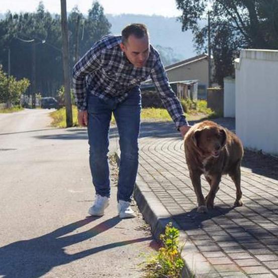 九游app：“世界上最老的狗”波比去世4个月后被吉尼斯官方剥夺了此头衔(图12)