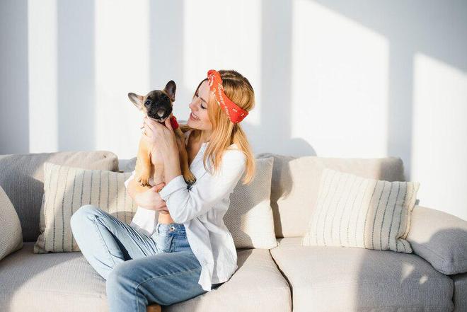 狗粮排名前十名品牌(图11)