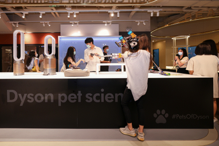 九游官网入口：让科技融入爱宠日常 戴森全面解决方案打造宠物科学“家”(图1)