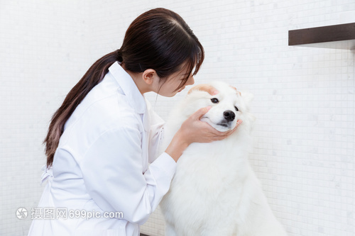 九游体育：从大消费转向硬科技——西安这家宠物创新药企为何获数千万融资？(图1)