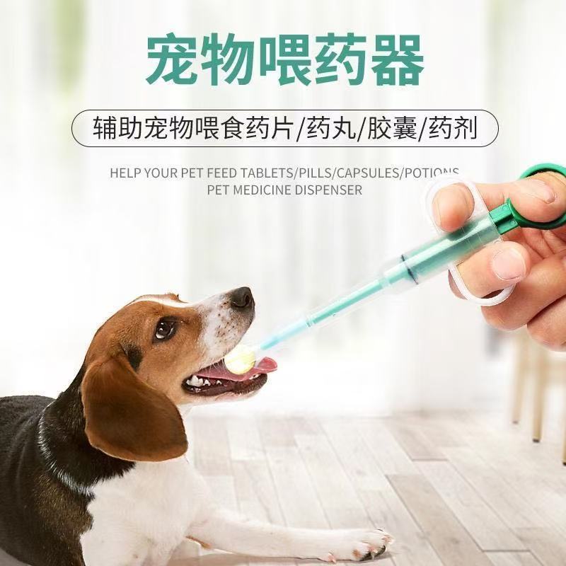 AI正在改写「陪伴」的定义：开车搭子、宠物管家、观鸟神器(图1)