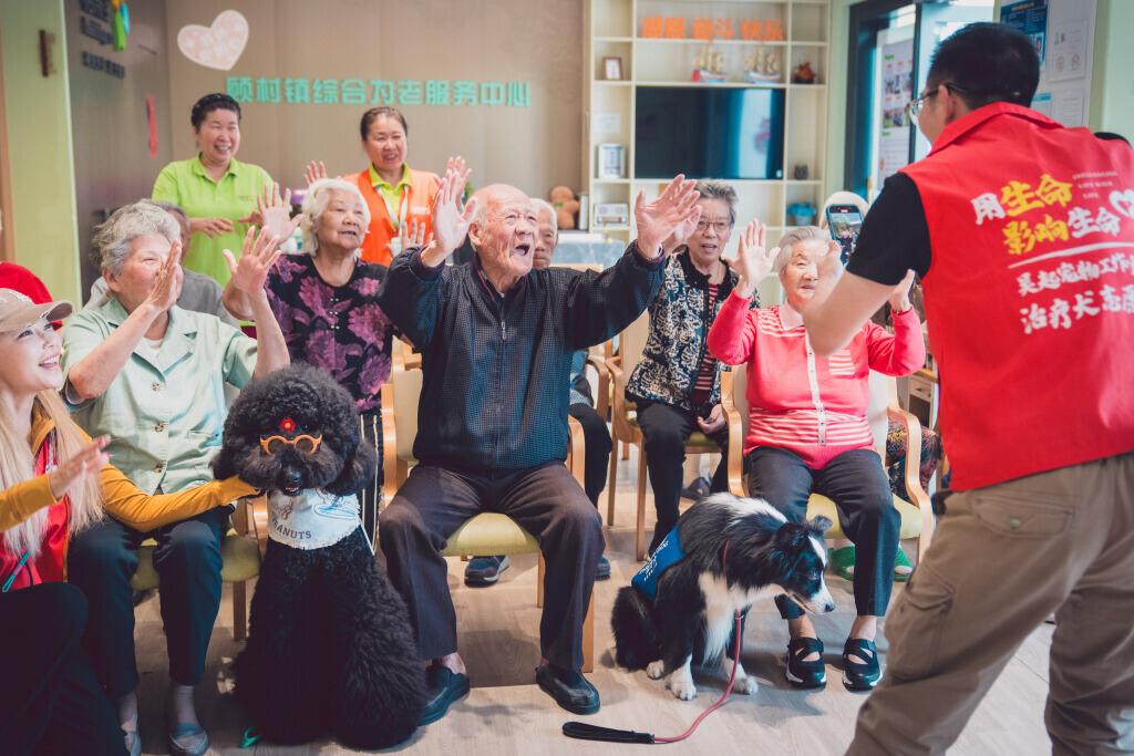 “用生命影响生命”吴起和他的动物疗愈之旅(图6)