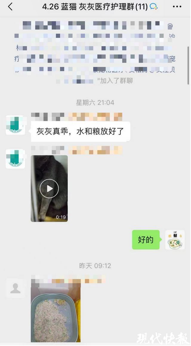 九游体育：宠物粮宣传含鲜肉实际用鸡肉粉代替江苏省消保委发布宠物经济消费调查(图2)