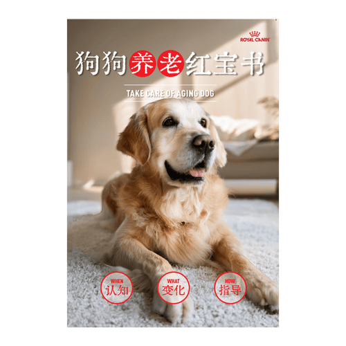 狗狗营养新选择：四款超高性价比狗粮推荐适合各类犬种的你不能错过！(图2)