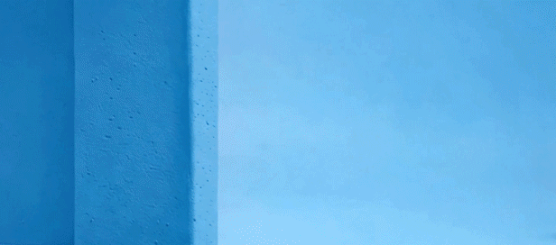 绘就城市与生命的和谐图景 从“不弃养”开始(图2)