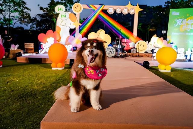 九游app：作为全国首个“人宠友好社区”示范区闵行发布“人宠友好社区共建”赋能计划(图3)