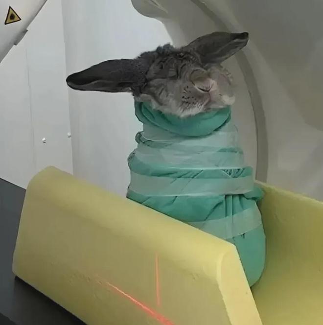 新型「销金窟」捞了中国人3000亿？(图2)