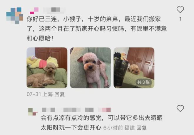 新型「销金窟」捞了中国人3000亿？(图7)