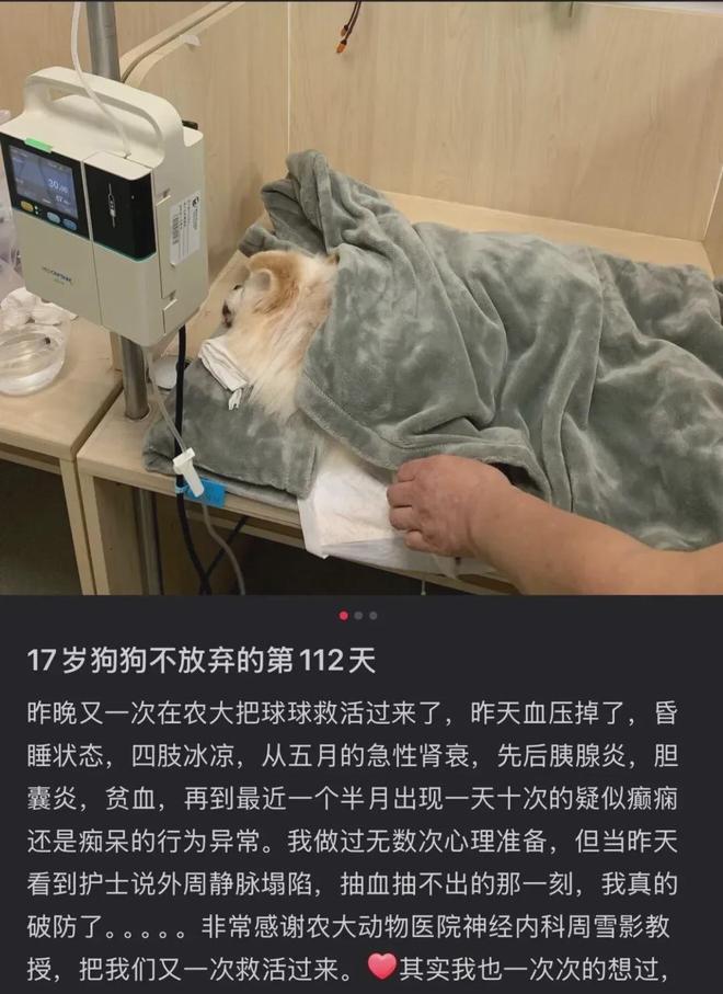 新型「销金窟」捞了中国人3000亿？(图6)