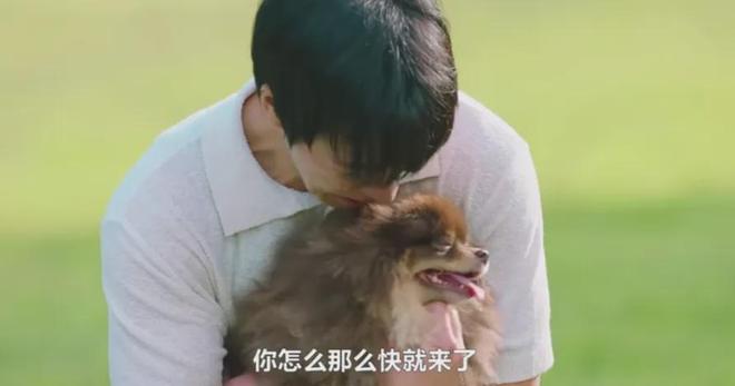 新型「销金窟」捞了中国人3000亿？(图13)