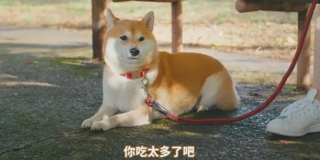 新型「销金窟」捞了中国人3000亿？(图11)