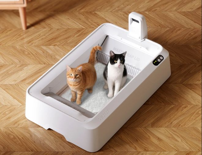 10亿之后踩坑复盘：我为什么决定“做窄” 对话PETKIT小佩CEO(图2)