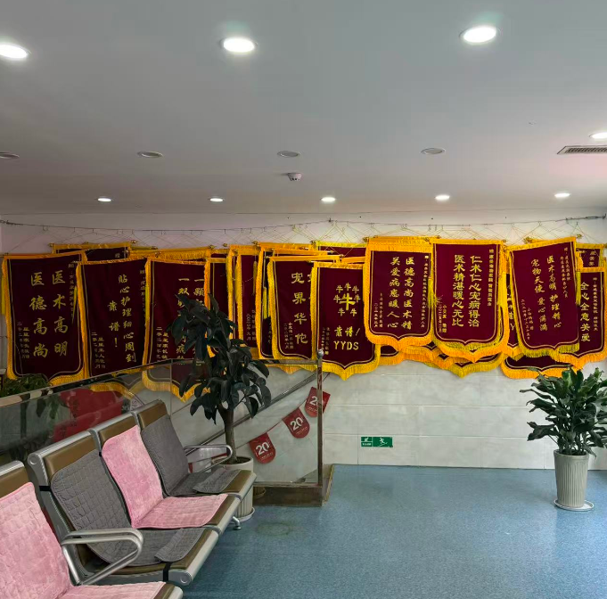 2025宠物医院权威推荐榜：南通康美优质服务与专业诊疗的放心之选守护爱宠健康(图1)