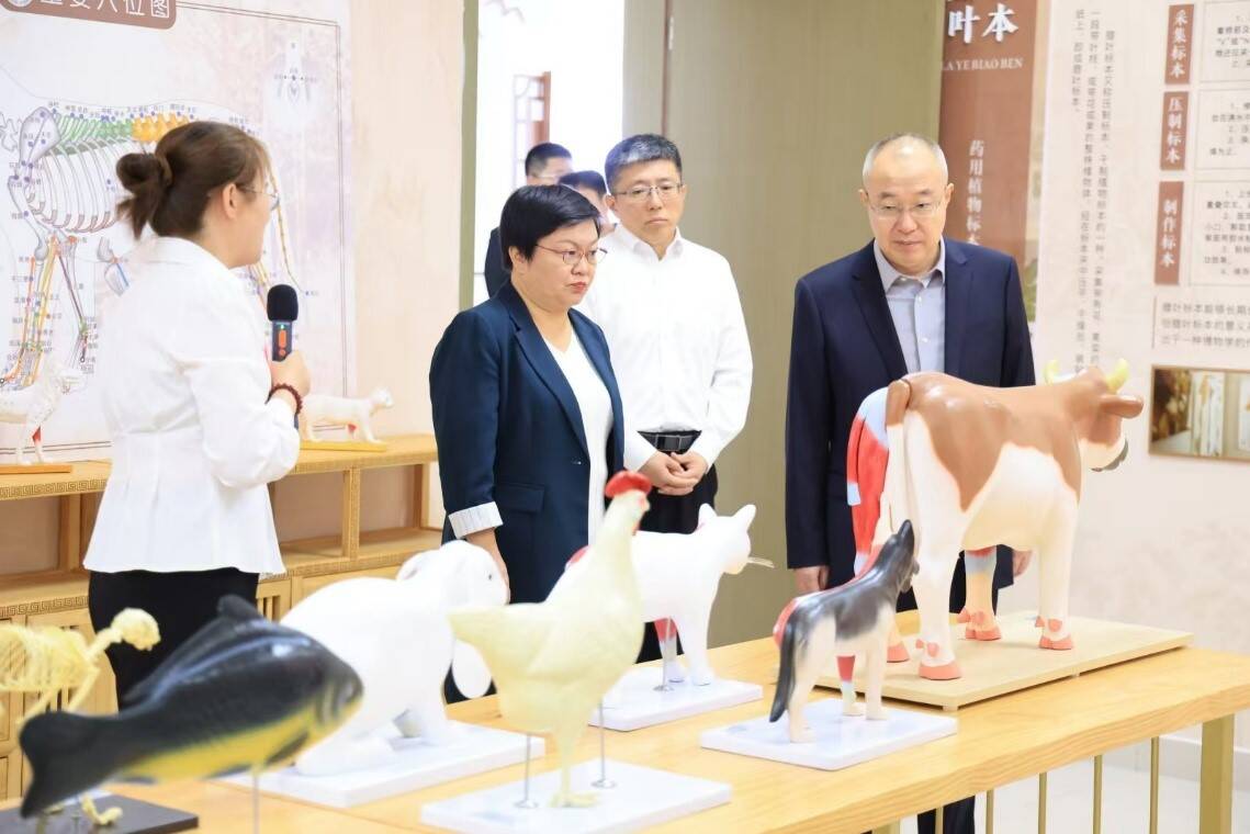 济南市推动宠物经济高质量发展暨 人宠友好与城市文明座谈会召开(图2)