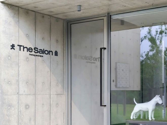 九游app：从客舱到酒店、景区“人宠服务”如何扎根中国旅游市场？(图9)