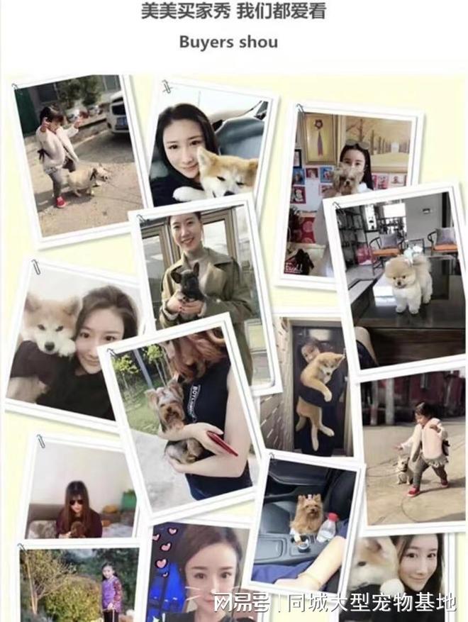 合肥哪里买宠物靠谱安全？这儿有实体店可选放心大胆挑吧(图4)