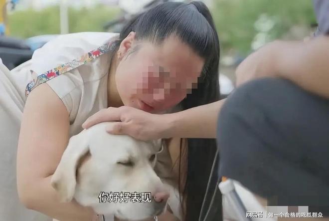 九游官网入口：导盲犬芬迪后续：接回视频曝光说芬迪“破孩子” 再引众怒(图7)