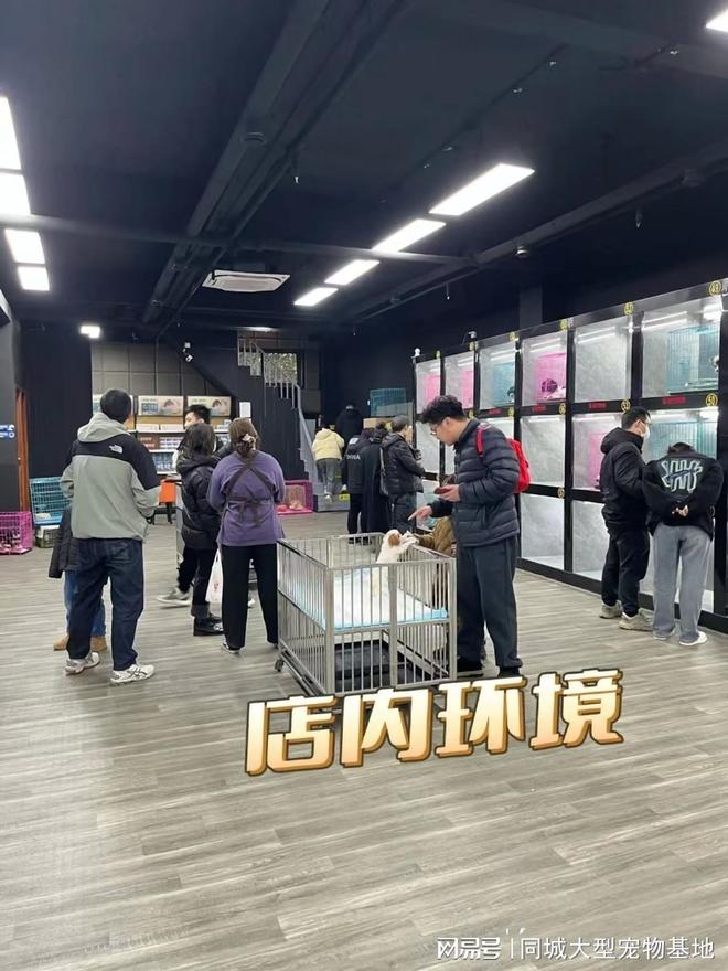 九游app：苏州哪里有正规宠物基地？这里买宠物放心还能去实体店挑选(图4)