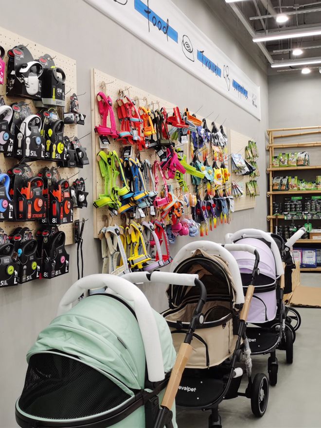 吃月饼、逛公园、听音乐会……和爱宠在长宁这样过节→(图8)