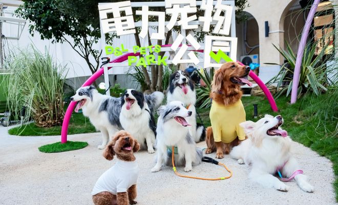 吃月饼、逛公园、听音乐会……和爱宠在长宁这样过节→(图14)