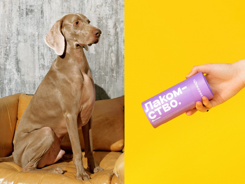 假期宠物服务需求暴涨如何实现 “人宠两安”？(图1)