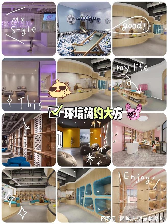 惠州买宠物猫狗哪里便宜？这里实体店选购宠物安全更值得信赖(图4)