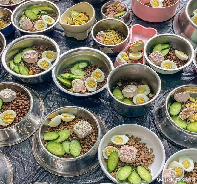 九游app：果然财经｜宠物寄养假期爆满宠物经济赛道“拥挤”暗藏隐忧(图4)