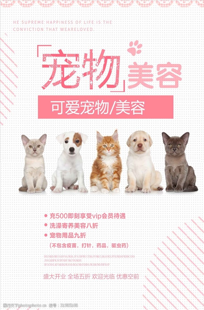 九游app：宠物消费“拟人化” 多家公司跨界布局新赛道(图1)