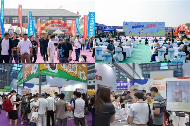 四地联动全域开花Amazing Pet Air引领宠物健康新纪元(图8)