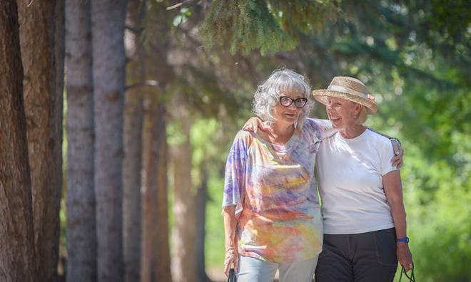 九游官网入口：宠物陪伴能改善老年人健康吗？选择建议(图4)