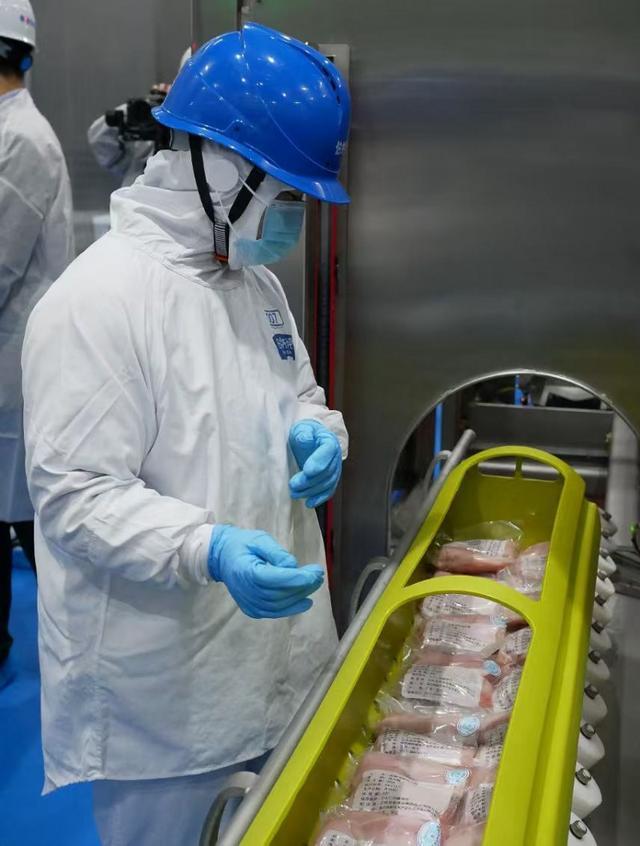 2025最新健康狗粮标准出炉 成分安全达到食品级 营养标准国际化(图4)