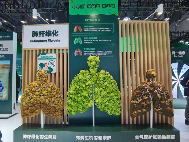 九游官网入口：勃林格殷格翰：聚焦银发经济和宠物经济的多元需求创新产品亮相进博会丨进博时刻(图2)